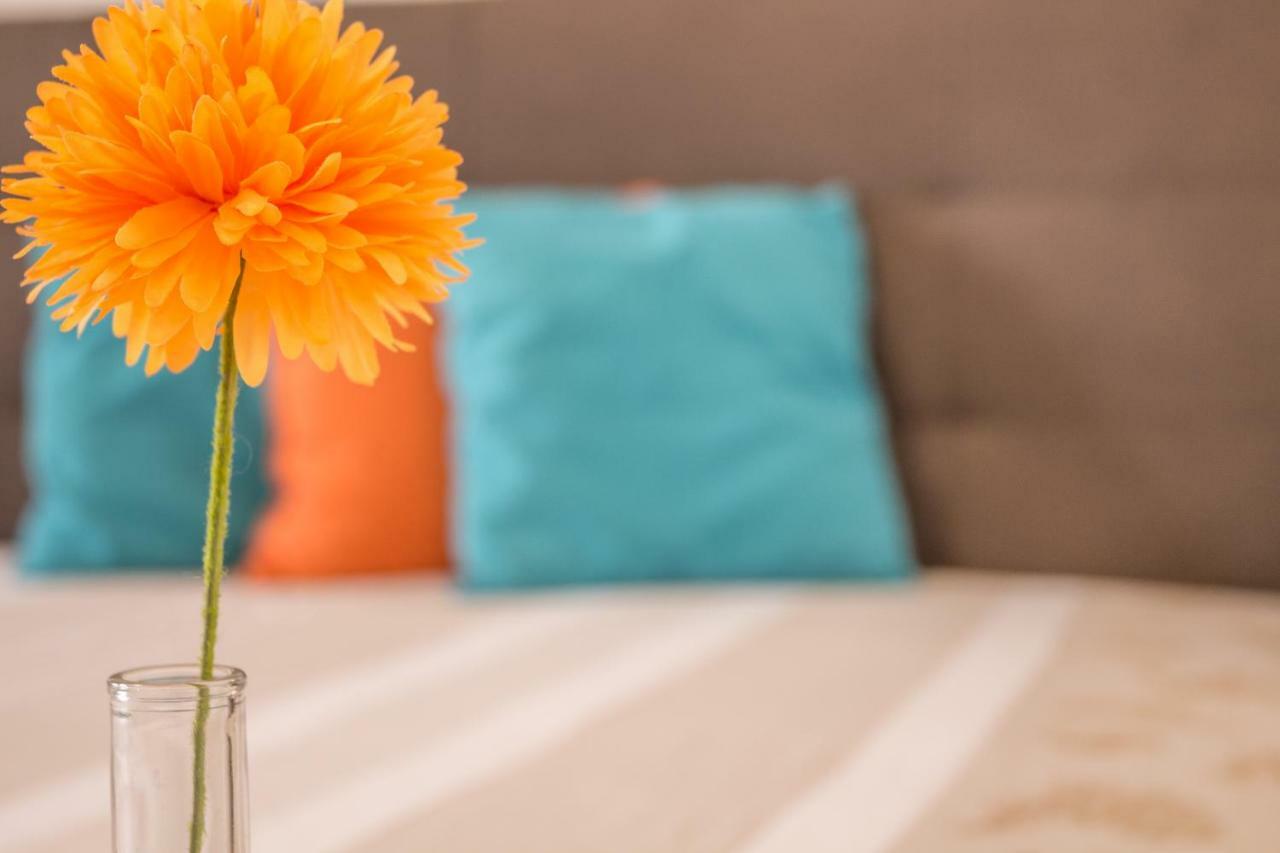 אולביה Maricciolu Suites And Apartments מראה חיצוני תמונה
